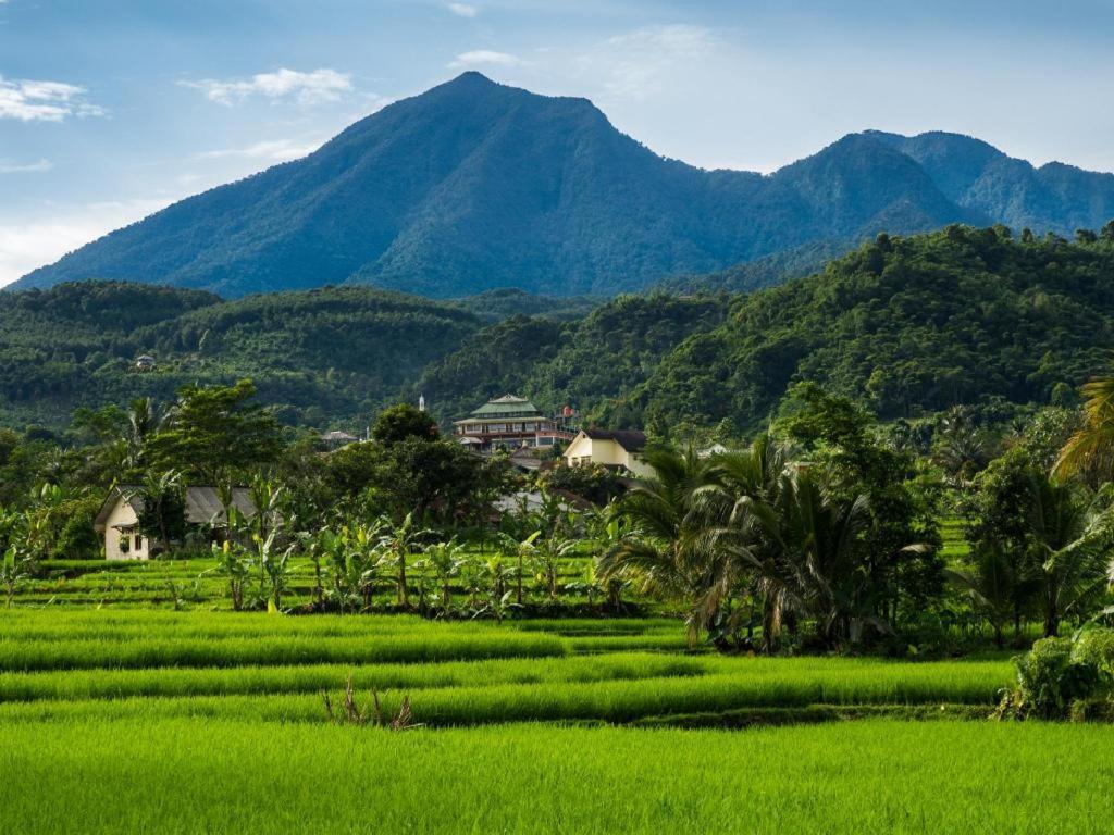 Bogor Valley Hotel Eksteriør bilde