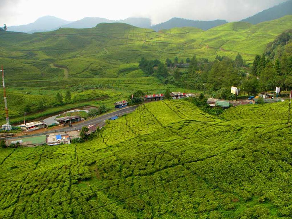 Bogor Valley Hotel Eksteriør bilde